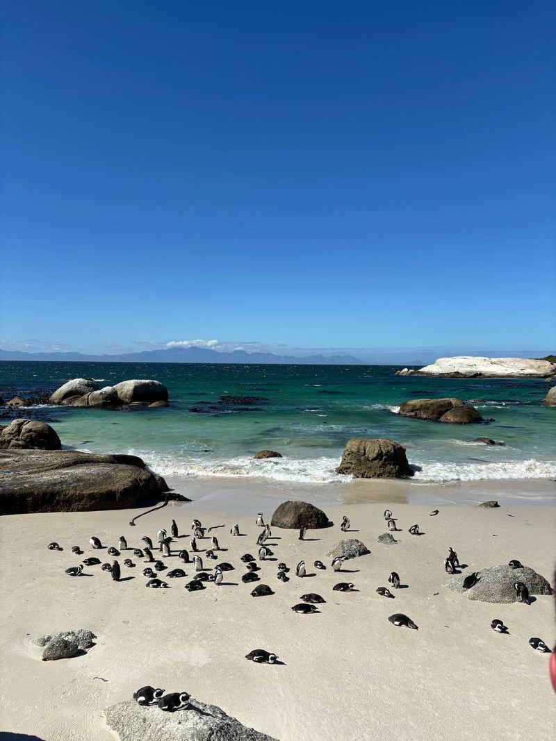 ЮАР и Намибия мототур BMW R1300GS Рус Мото Тревел Русмототревел