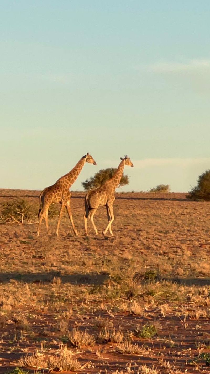 ЮАР и Намибия мототур BMW R1300GS Рус Мото Тревел Русмототревел