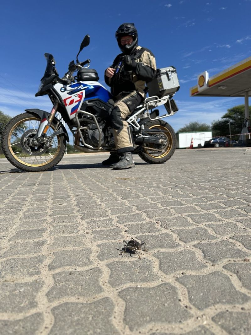 ЮАР - Намибия - Ботсвана мотопутешествие с Рус Мото Тревел (РМТ)