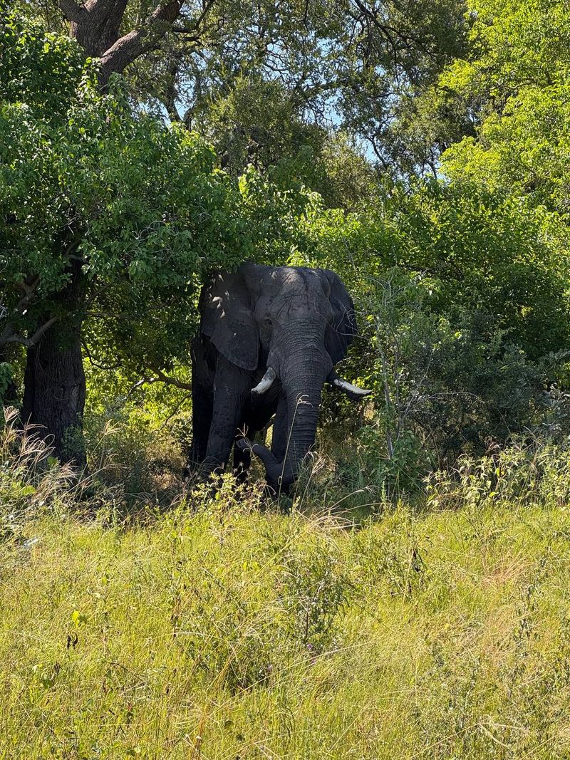 ЮАР - Намибия - Ботсвана мотопутешествие с Рус Мото Тревел (РМТ)