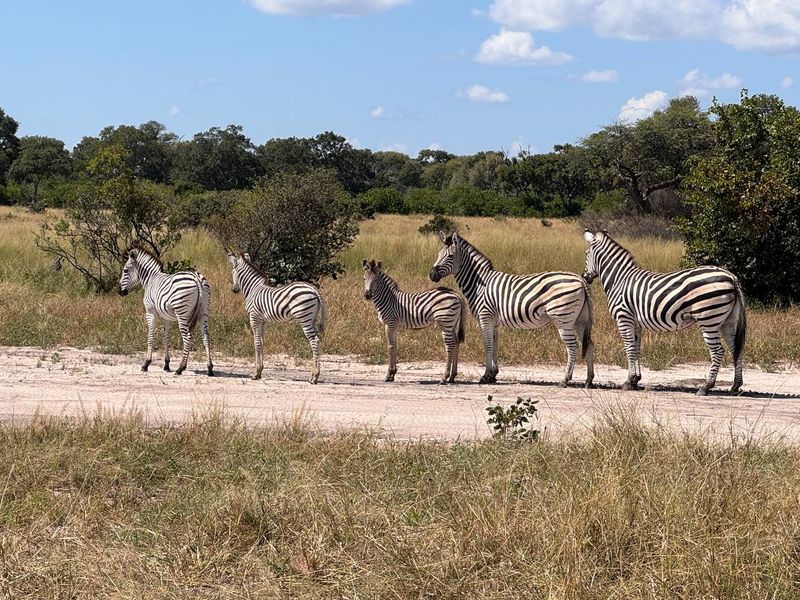 ЮАР - Намибия - Ботсвана мотопутешествие с Рус Мото Тревел (РМТ)