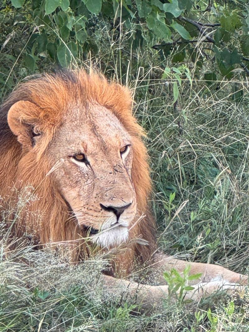 ЮАР - Намибия - Ботсвана мотопутешествие с Рус Мото Тревел (РМТ)