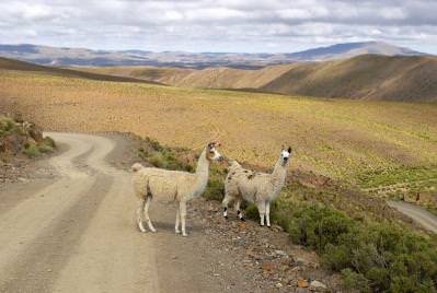 Motorcycle Tour To Patagonia In January And February 2024 RMT   CRW 5249 